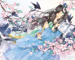 雏鸟pro下载